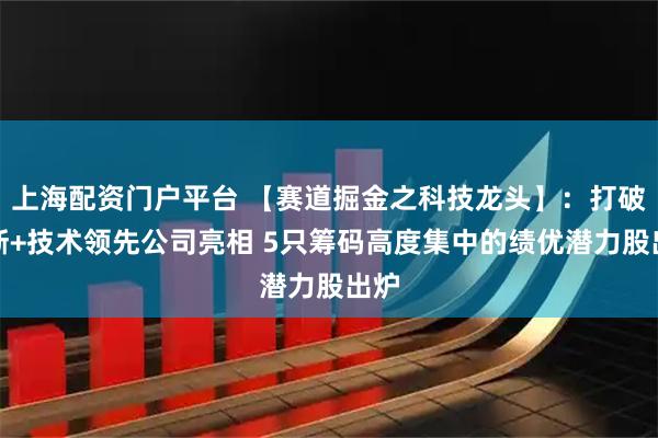 上海配资门户平台 【赛道掘金之科技龙头】：打破垄断+技术领先公司亮相 5只筹码高度集中的绩优潜力股出炉