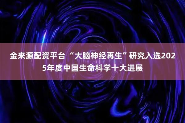 金来源配资平台 “大脑神经再生”研究入选2025年度中国生命科学十大进展